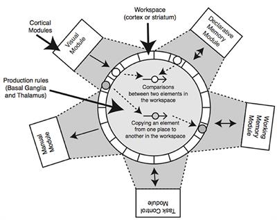 A cognitive modeling approach to learning and using reference biases in language